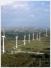 Parques eólicos